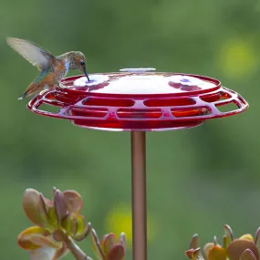 3-in-1 Hummingbird Feeder