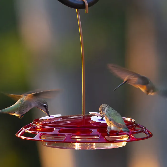 3-in-1 Hummingbird Feeder