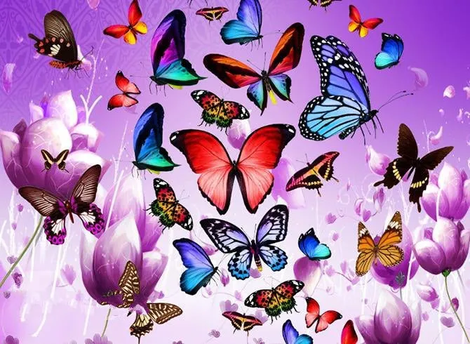 3D Colorful Butterflies and Purple Flower Printed Luxury 4-Piece Bedding Sets/Duvet Covers