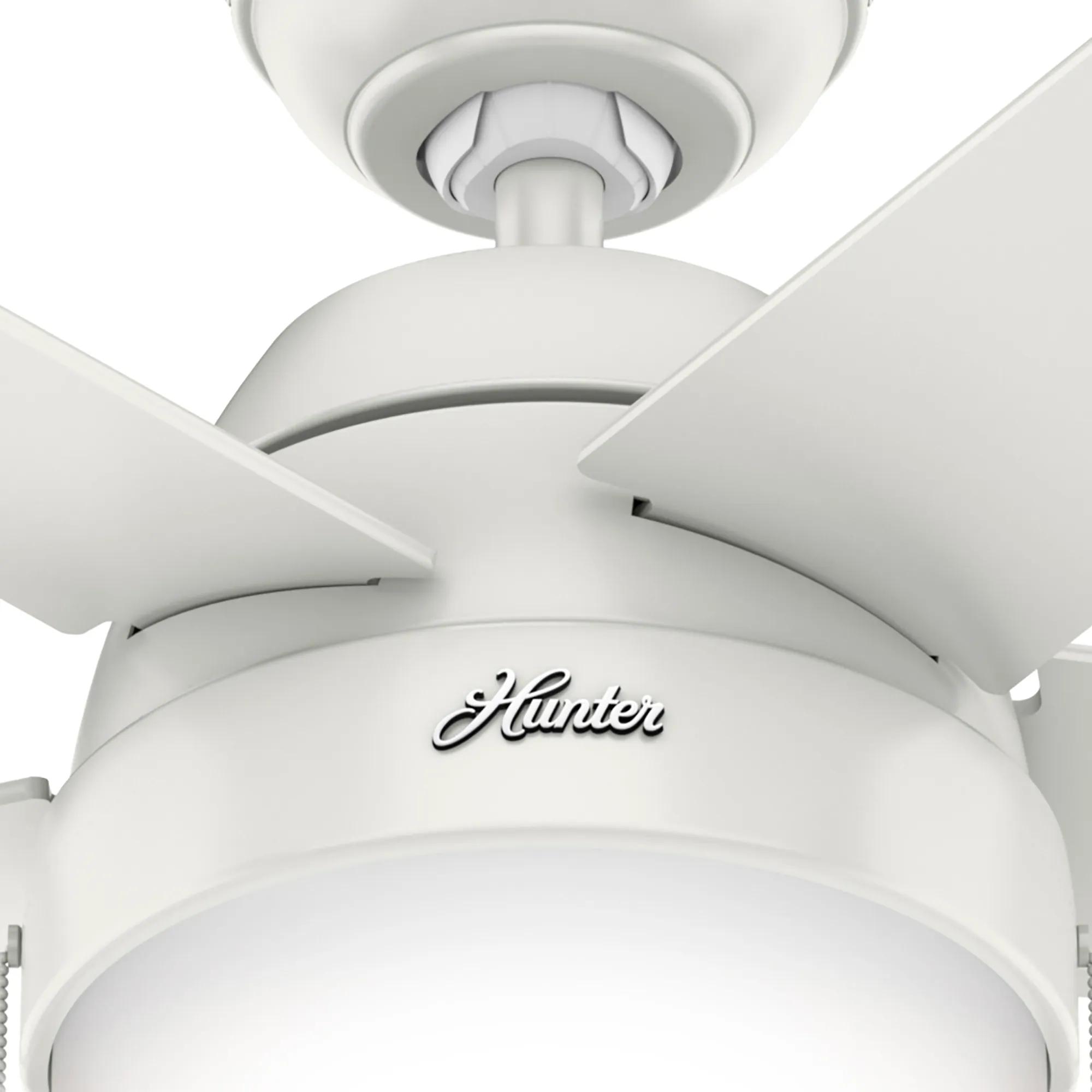 Anslee 52" Ceiling Fan