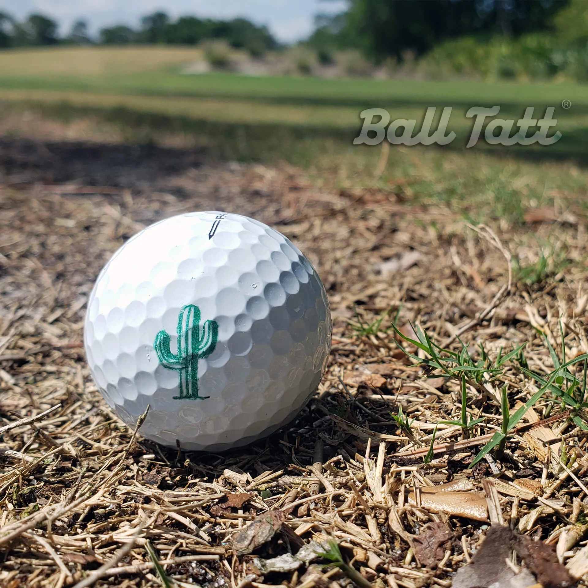 Cactus Golf Ball Stamp