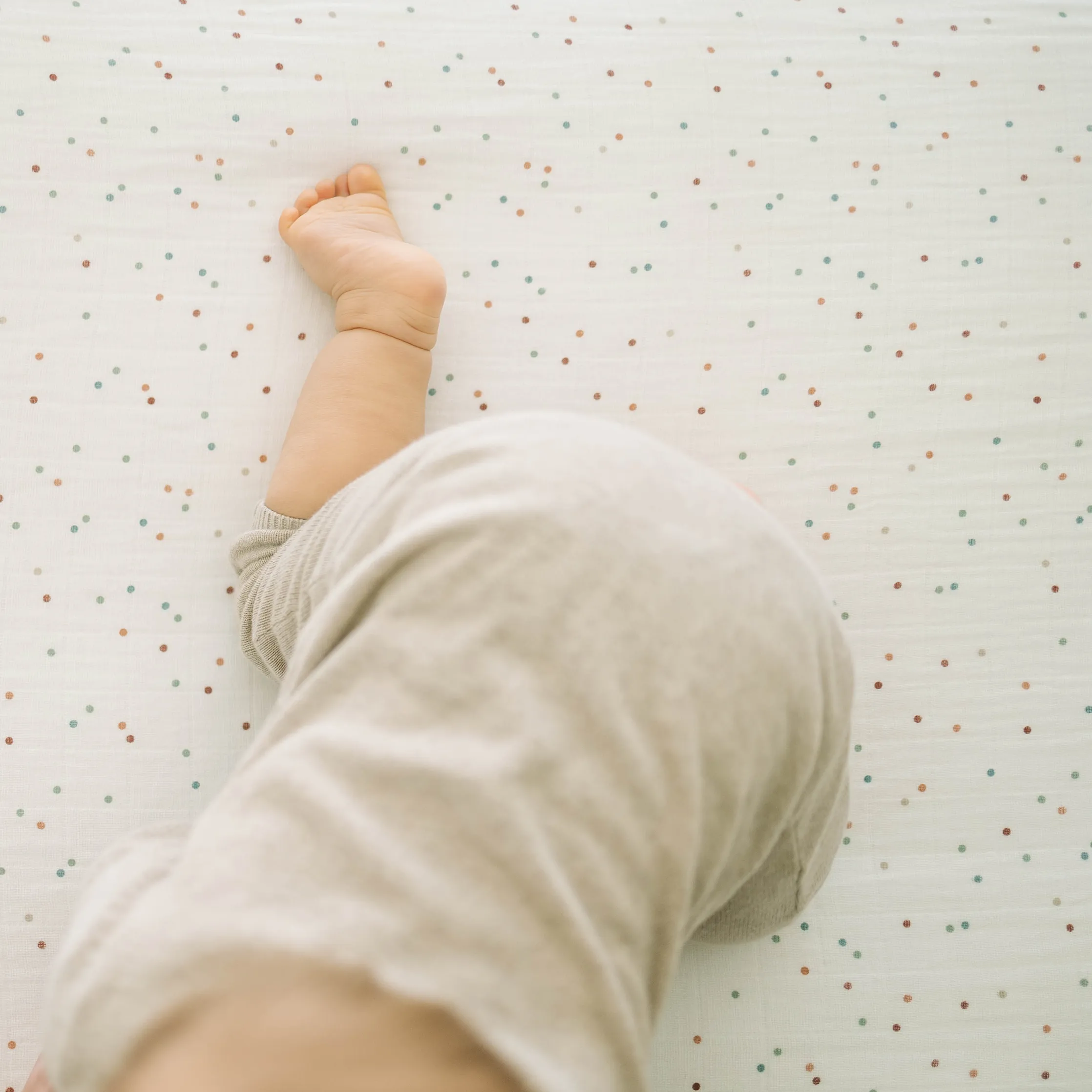 Cotton Muslin Crib Sheet - Dots