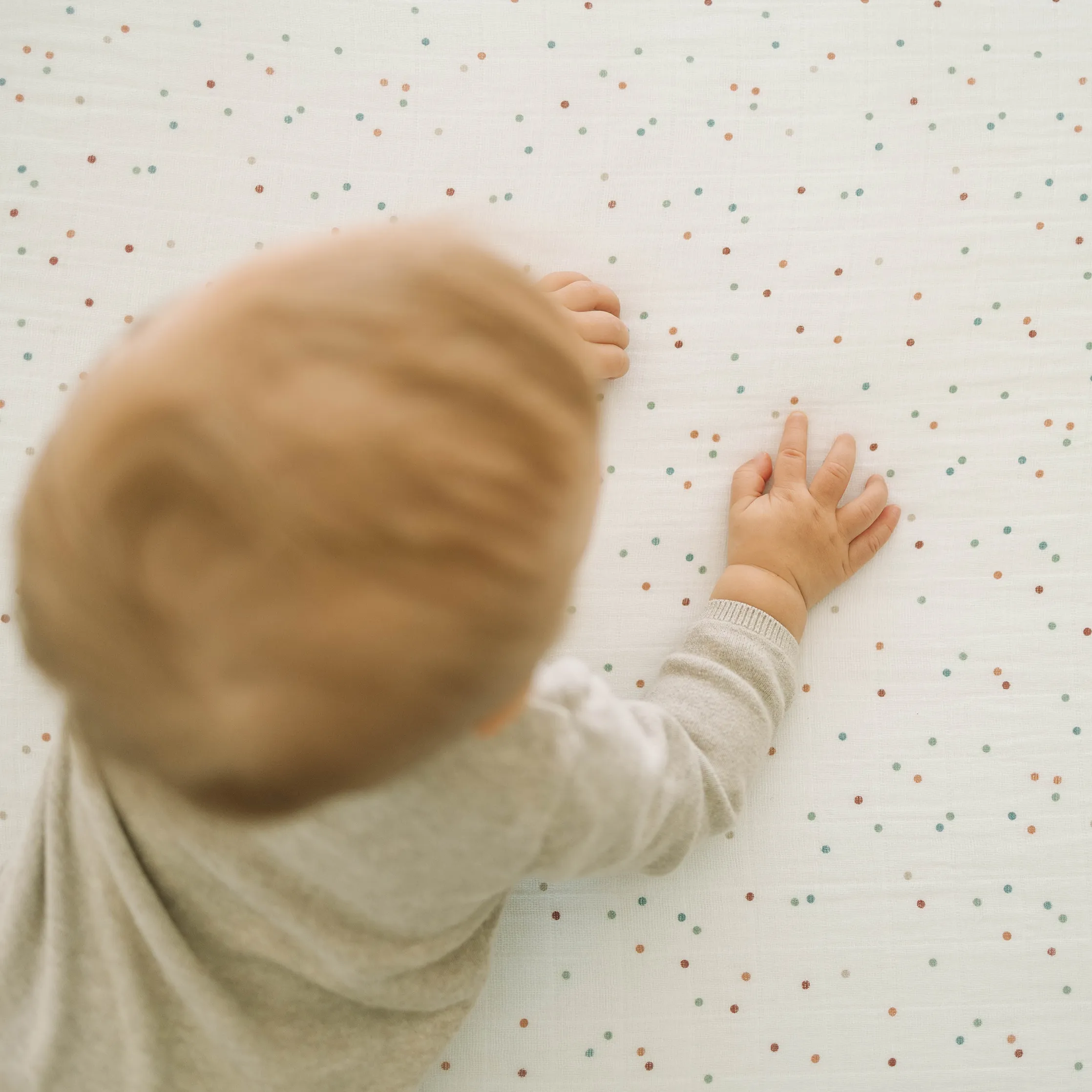 Cotton Muslin Crib Sheet - Dots