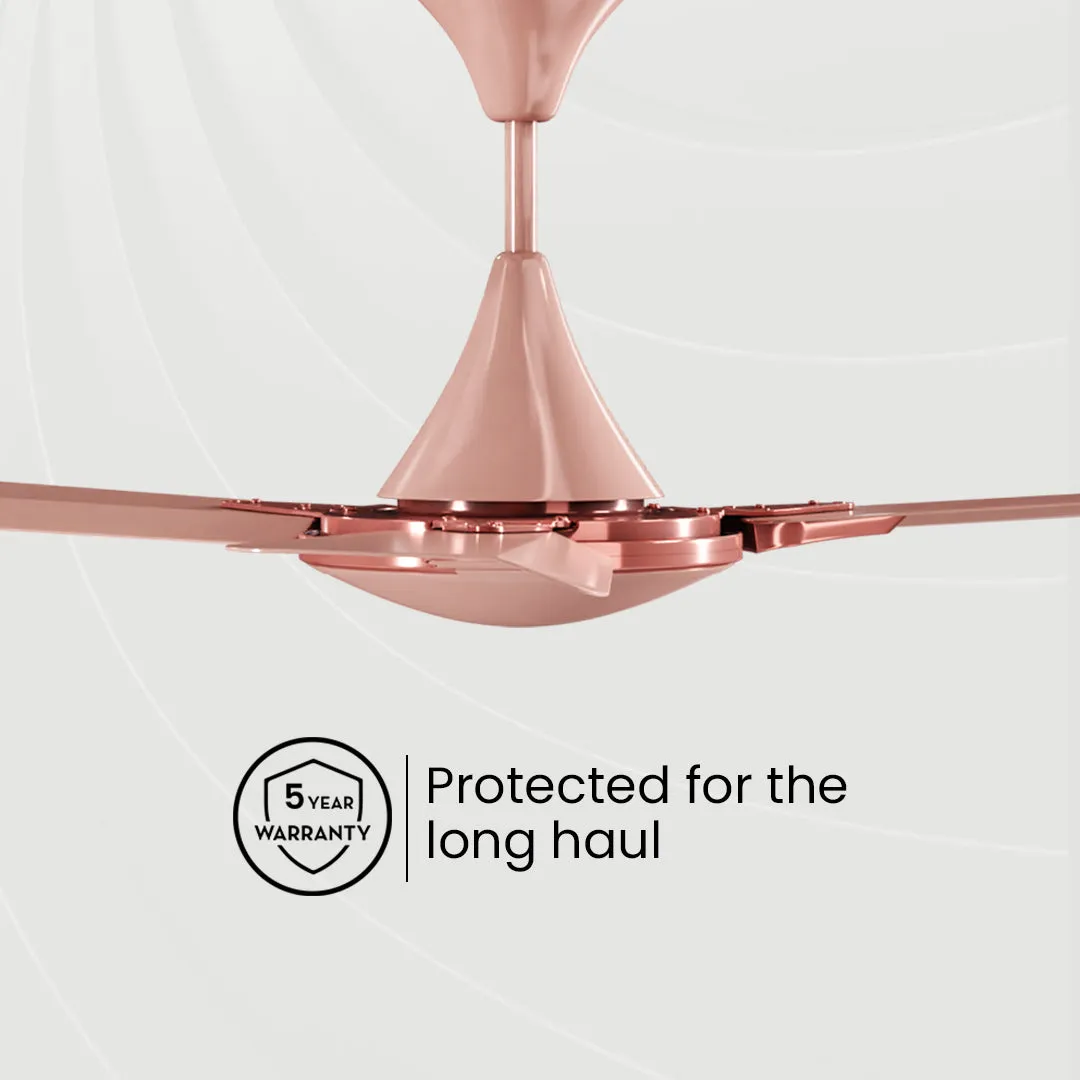 Crompton Premion Aura 2 Prime | Star Rated Ceiling Fan