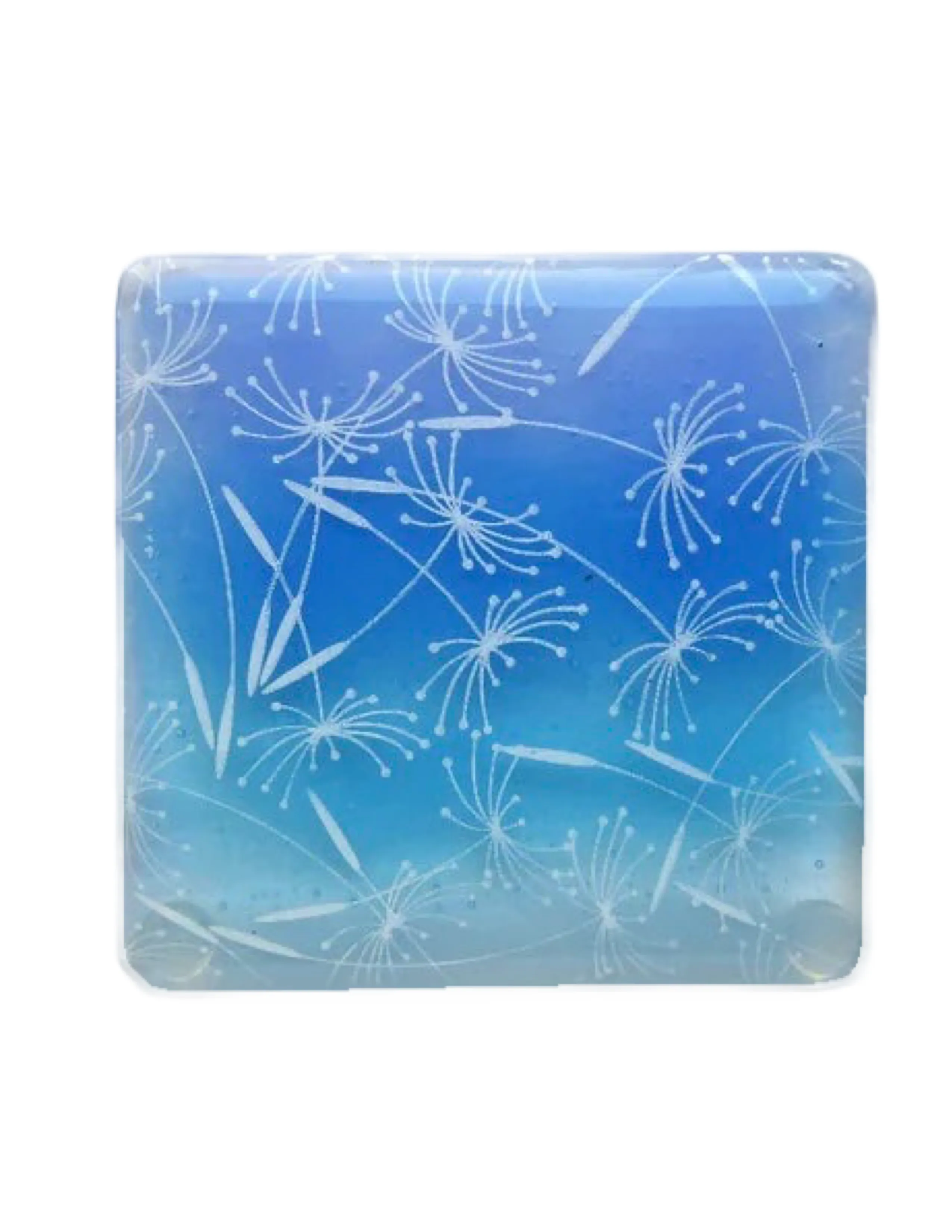 Eva Glass Design Blue and white dandelion clocks fused glass coaster (EGD  CCB)