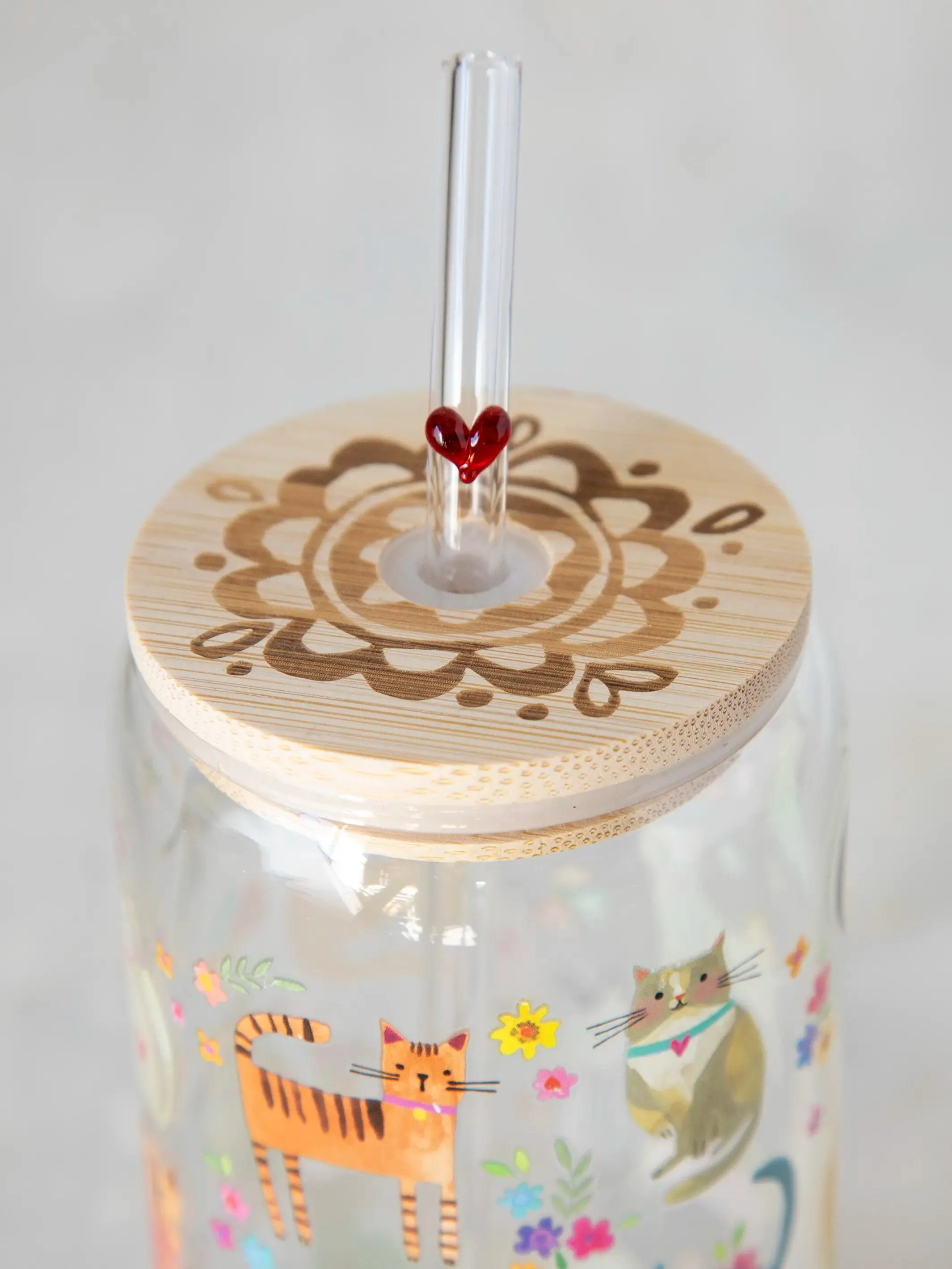 Glass Tumbler With Lid & Straw - Cat