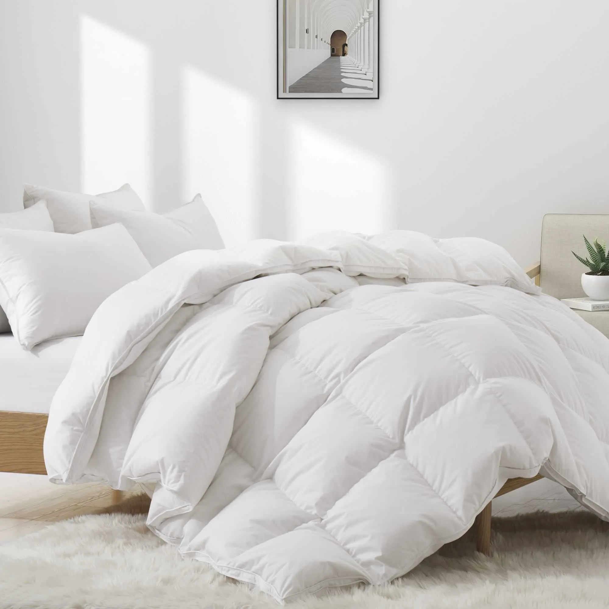 Made in Germany 800 Fill Power European White Down Comforter