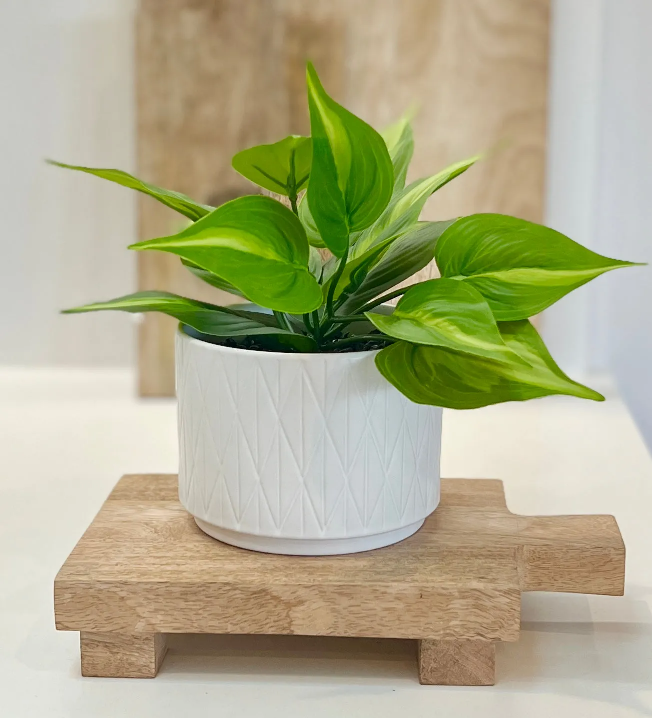 Mango Wood pedestal stand | Mango wood pedestal board | Wood riser board for home decor | display stand for plants