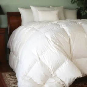 Natural Nights 700 Winter Weight Down Comforter-Twin (68" x 90")