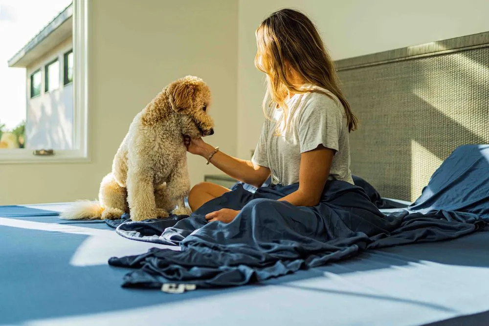 Organic Bamboo Sheet Set