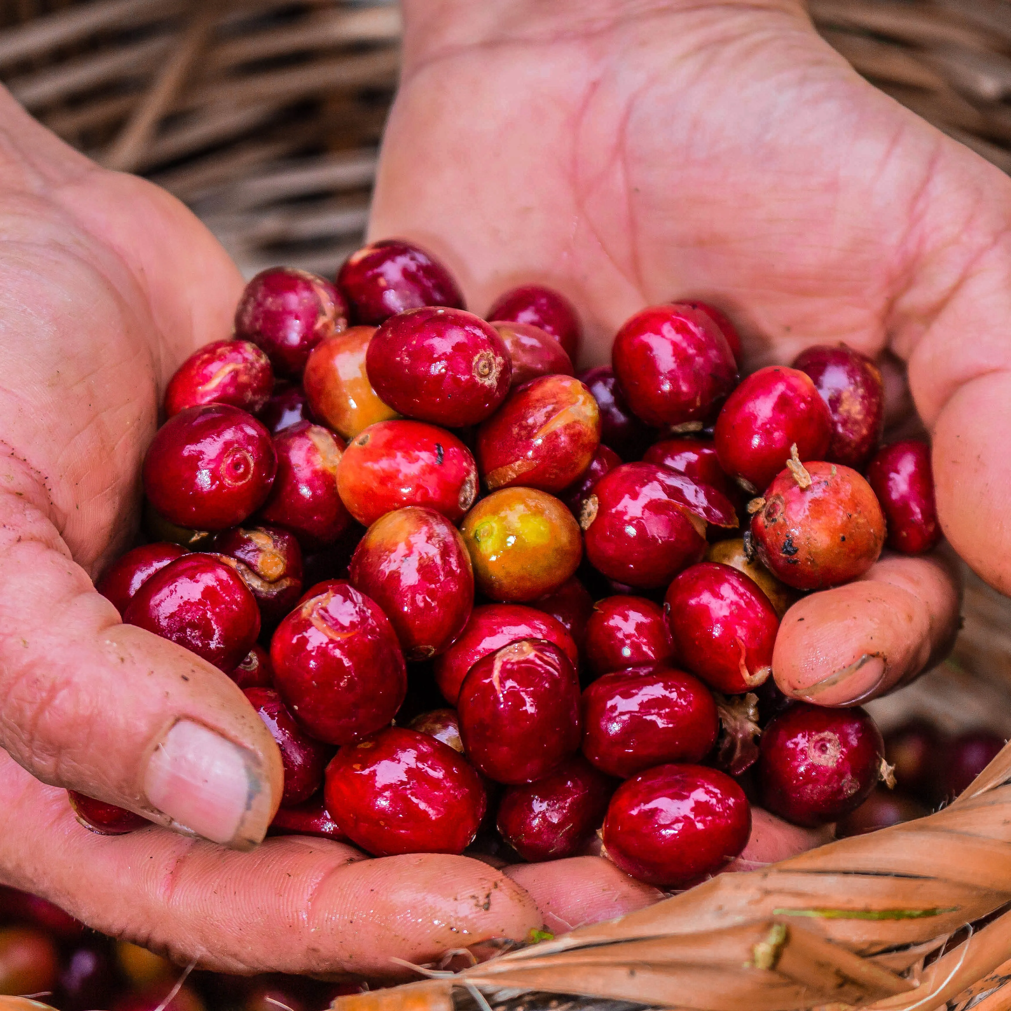 Peru Atahualpa