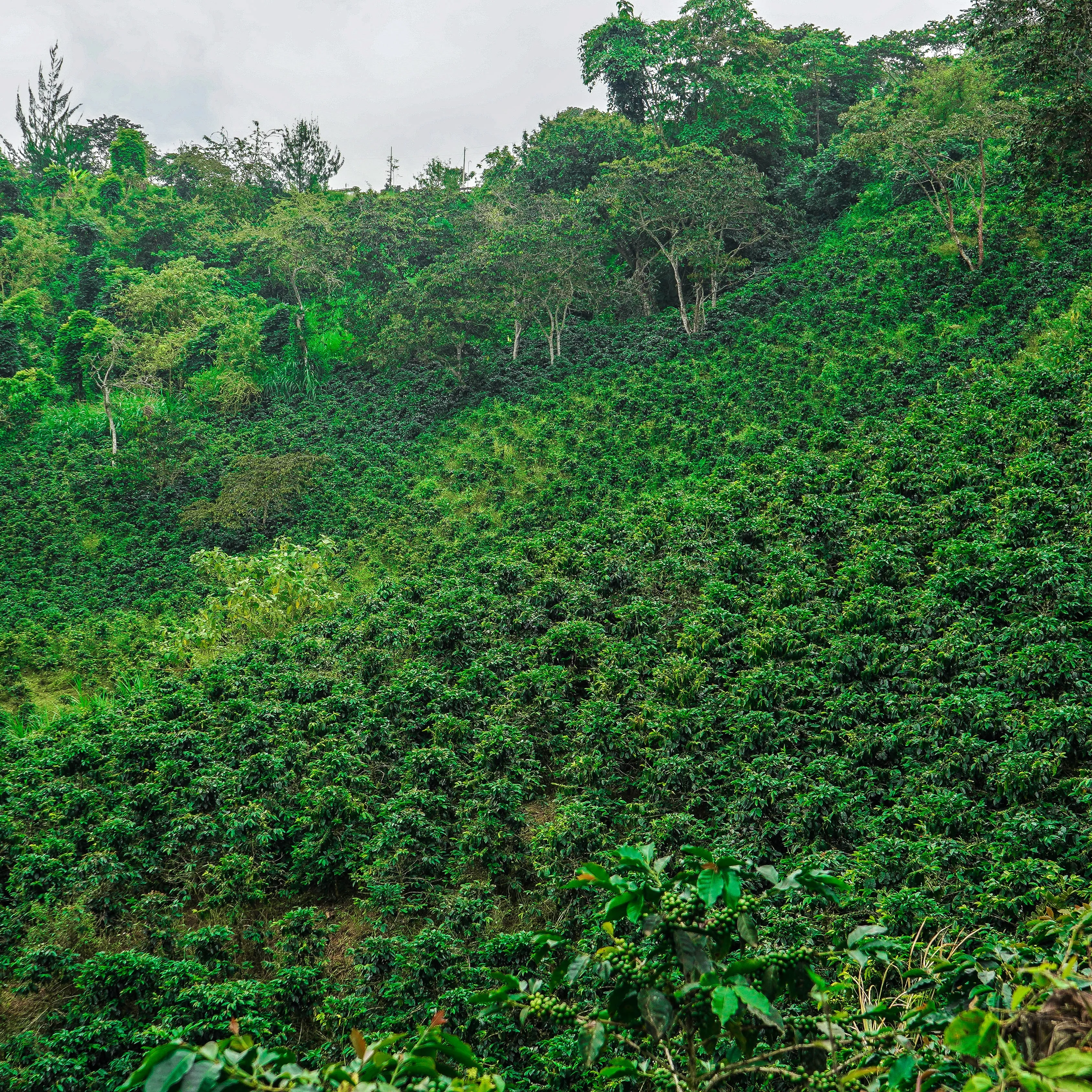 Peru Atahualpa