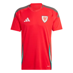 Wales 2024/25 Home Replica Jersey